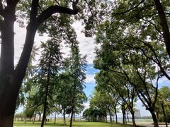 -独墅湖图书馆停车场