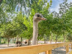 -水上乐园·欢乐世界