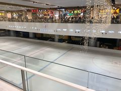 -TheRink大零溜冰场(IFS国金中心店)