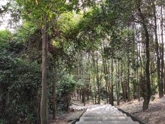 -火炉山森林公园