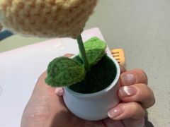 -海底捞火锅(江宸天街店)