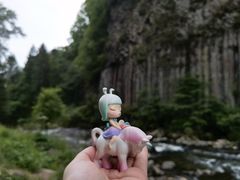 -望天鹅景区