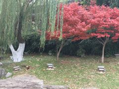 -万达影城(白云万达广场IMAX店)