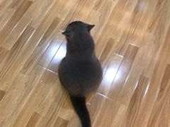 -壹人壹像工作室(购物公园店)