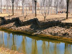 -东郊湿地公园
