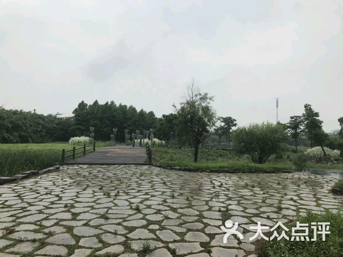 宁波九塘公园图片 第3张