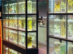 -广东中医药博物馆