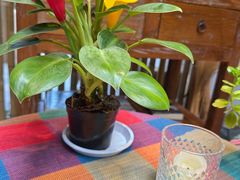 -看见远方·莫干遥远的山民宿