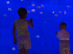 -沈阳海洋探索中心