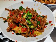 -壹盏灯(惠农店)