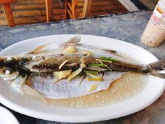 太湖白鱼-湖山人家·湖景餐厅·特色农家菜(太湖西山店)