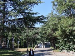 -沂蒙山旅游区云蒙景区(蒙山国家森林公园)