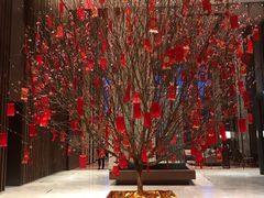 -嘉定凯悦·咖啡厅