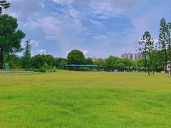 -海珠儿童公园