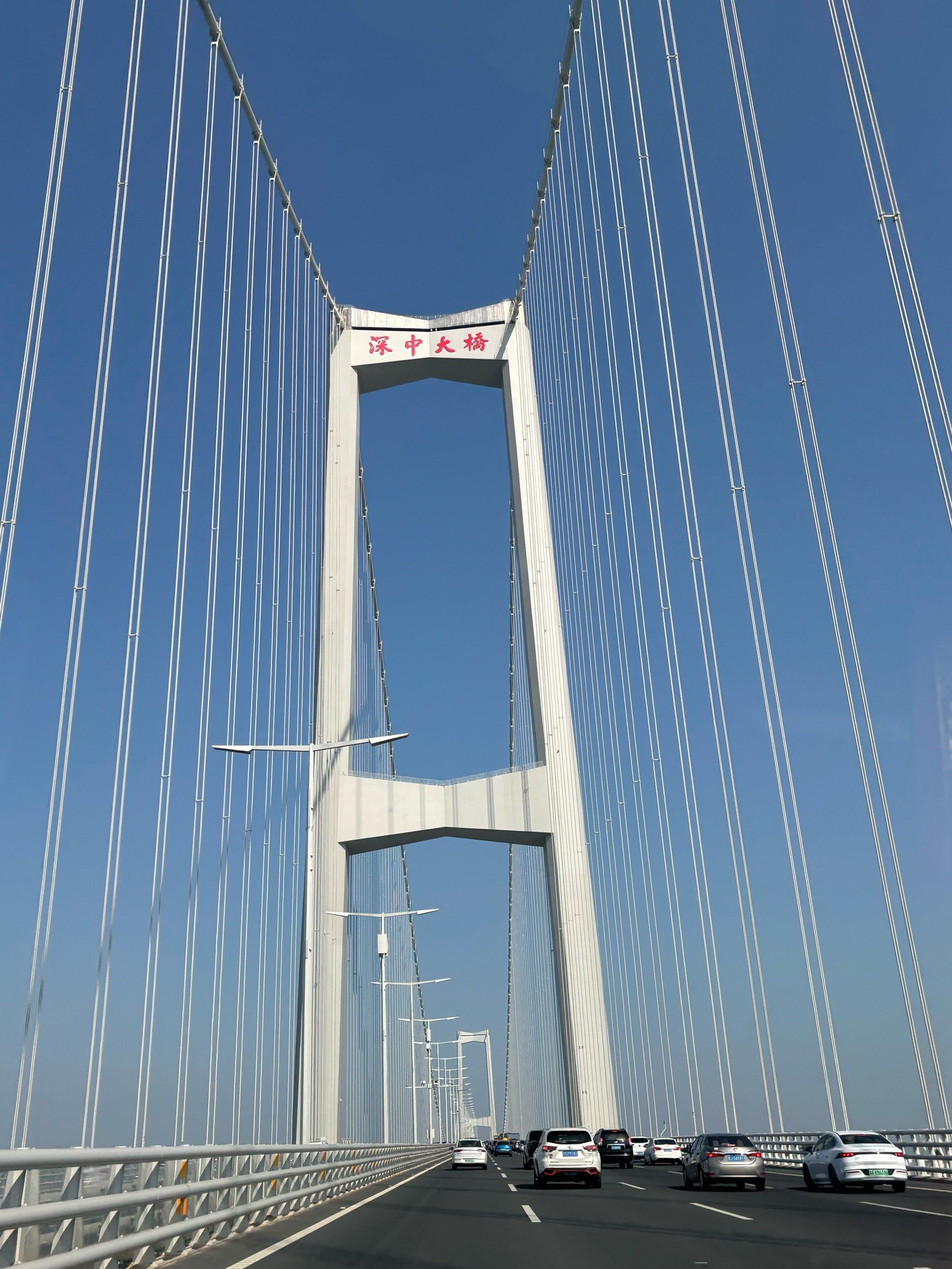 免费的!就是香!