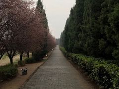 -秦始皇帝陵博物院-丽山园