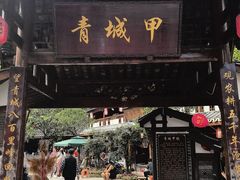 -青城甲(青城山店)