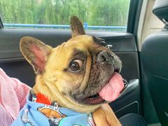 -畜牧兽医站(共江路店)