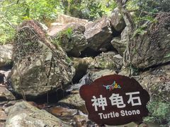 -呀诺达热带雨林