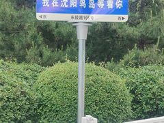 -沈阳鸟岛