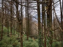 -山王坪喀斯特国家生态公园