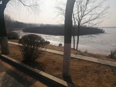 -丁香湖公园