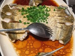葱油武昌鱼-知楚•精致湖北菜(武商MALL店)