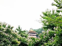 -水濂山森林公园