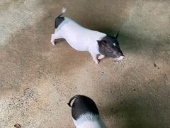 -杭州野生动物世界