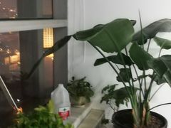 -新航道雅思托福·留学·考研培训(人民广场校区)