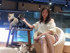 -瞄一喵猫咖(格力海岸店)