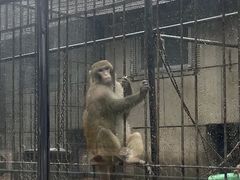 -保定市动物园