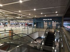 -虹桥综合交通枢纽-P6停车库