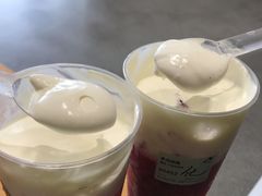 多肉杨梅-喜茶(佛山南海万科广场店)
