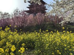 -古柏渡飞黄旅游区