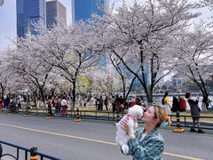 -西北湖绿化广场