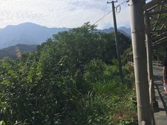 -白鹿洞书院