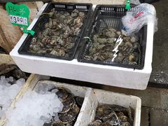 水产区-青石桥市场北1-27号