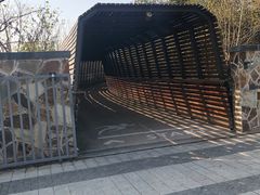 -昆山城市生态森林公园