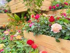 -人民公园(罗湖区)