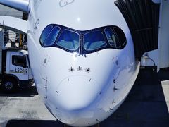 -奥利弗·雷金纳德·坦博国际机场