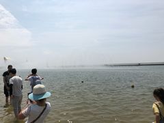 -碧海金沙