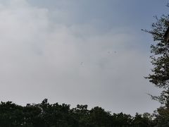-大湾区中央湿地公园