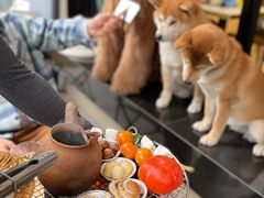 -茶是一枝花泡茶店