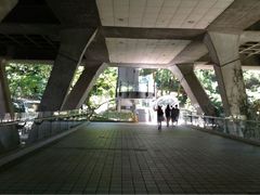 -香港大学