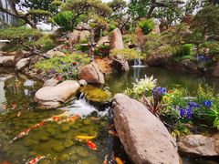 -罗红摄影艺术馆