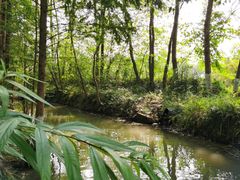 -桤木河湿地公园