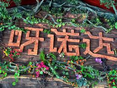 -呀诺达热带雨林
