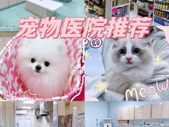 -北京观赏动物医院·24小时大型综合·猫专科·异宠专科