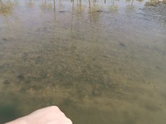 -洨河生态公园